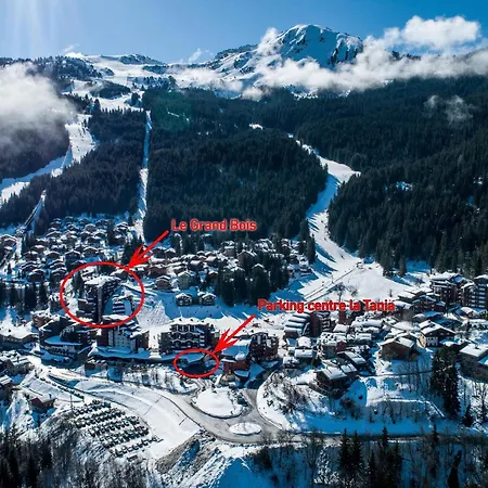 La Tania - 4 Pers, Skis Aux Pieds, Balcon, Proche Commodites - Fr-1-182a-24